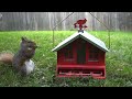 10 Hours - The Red House Feeder - July 6, 2022