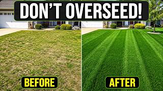 STOP Overseeding Your Lawn — Do This Cheaper Thing Instead