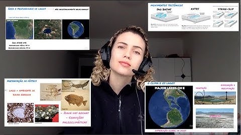 Lakes as depositional environments - Part I