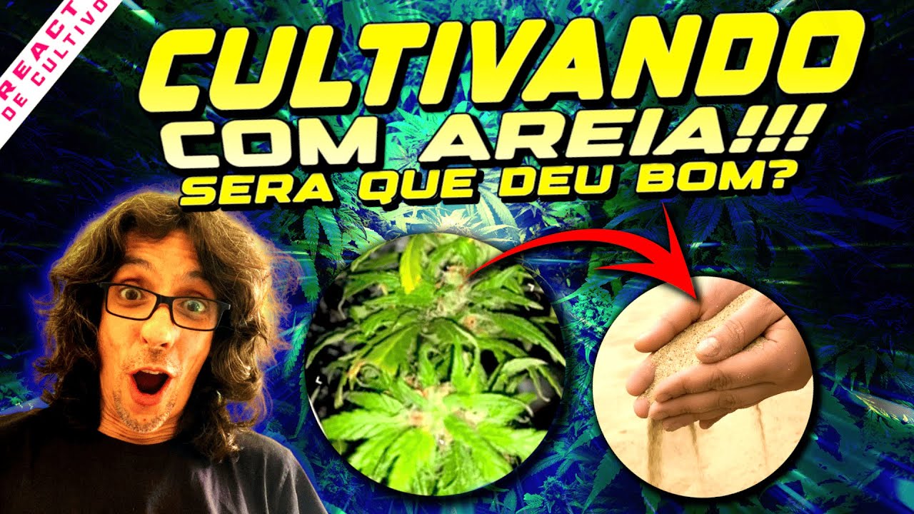 Técnica MONSTER CROPPING, a REVEGETAÇÃO da Ganjah - O que é e como fazer?