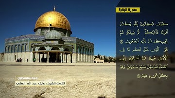 عارف العشي سورة البقرة