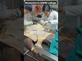 Dissection in bams collegebams student lifemedical bams ytshorts ayurveda beingvaidya