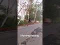 morning running and speed running #viral #real #shorts #trending #tricking #workout #running 💪🇮🇳
