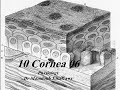 10 Cornea Part 6 فسيولوجي عيون Elkafrawy Ocular Physiology 