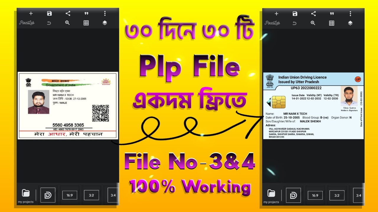 File - 3&4 | ৩০ দিনে ৩০টি ফাইল | Adhar Card plp file | Driving Licence Plp File | Fb Account Unlock