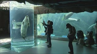 北海道地震でキャンセル相次ぐ　経済損失292億円(18/09/16)
