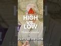 High vs. Low Homocysteine #Shorts