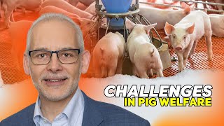 Robert Hoste: Global Animal Welfare Trends
