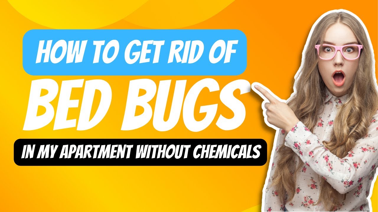 How To Get Rid Of Bed Bugs In My Apartment Without Chemicals YouTube