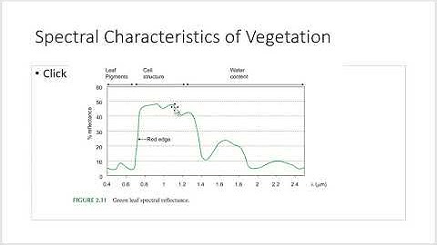 Remote Sensing, GPS, GIS: Chuvieco Chapter 2 Part 2