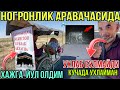 НОГРОНЛИК АРАВАЧАСИДА ХАЖГА БОРАМАН ДЕБ ЙУЛГА ЧИҚҚАН ҚАХРАМОН АКА !