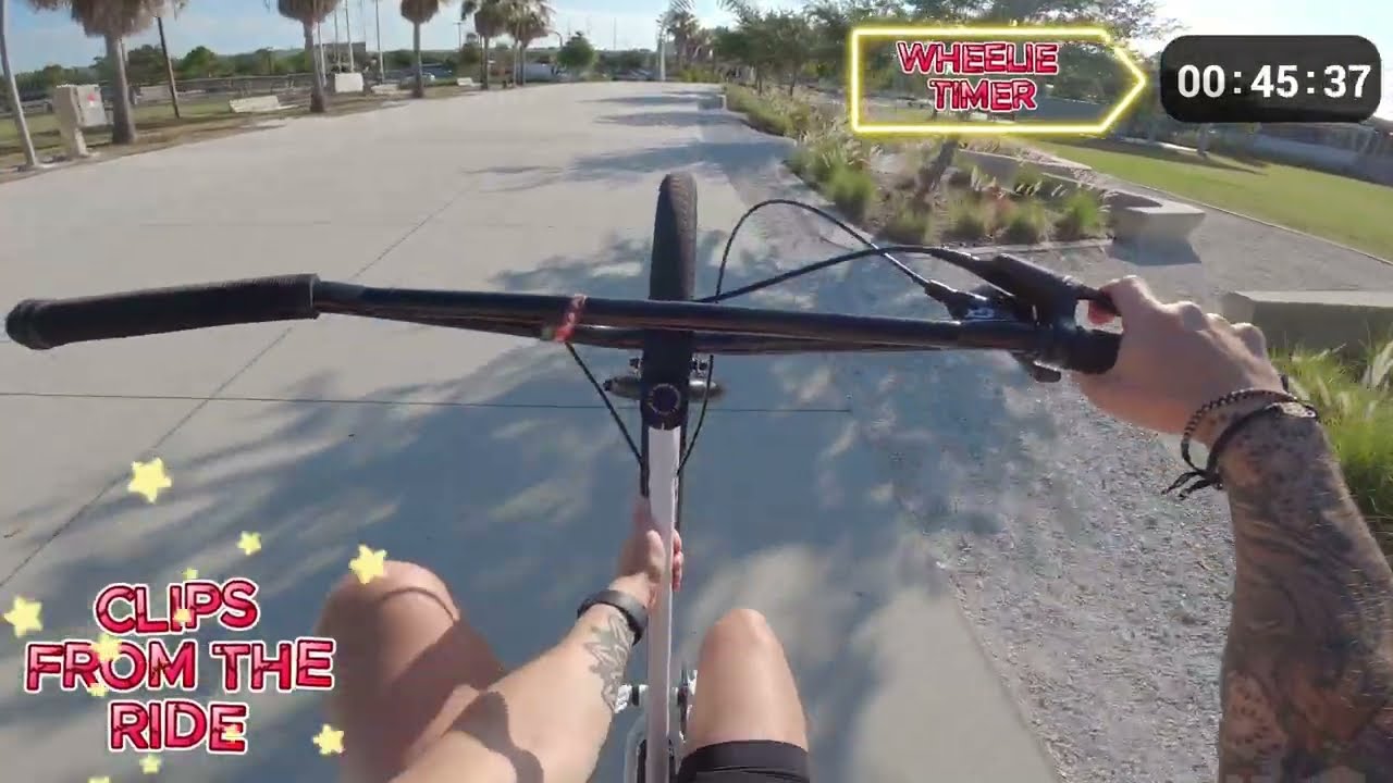 Wheelies on my SE Bikes Fast Ripper BMX Wheelie Timer Challenge SE