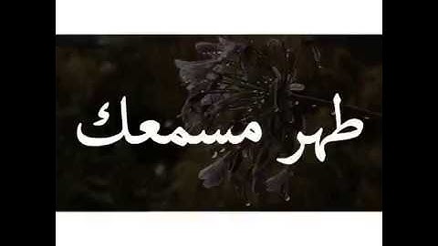 أجمل تلاوة || ألهاكم التكاثر || حالات واتس قرأن || Quran Status 💙