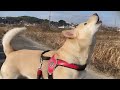 救急車とコラボ