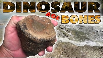 Fossil Hunting for DINOSAUR AGE BONES on TEXAS River - Mosasaur Vertebrae Fossils - October 2024