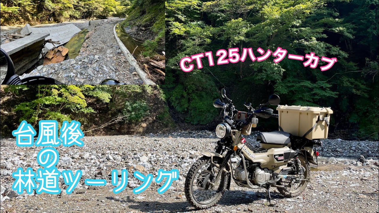 2022 林道ツー『茨川林道』 台風の爪痕　CT125ハンターカブ
