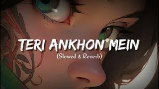 Teri Aankhon Mein (slowed & Reverb) | Lofi song | lofi diary