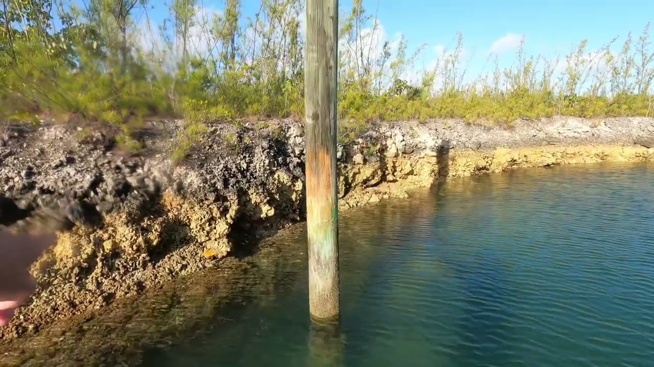 ⁣A little Paddleboarding this morning #bahamas