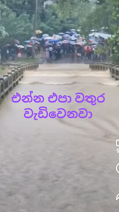 #dj #music #love #newmusic #dance #ukullathawe #bemindayuresh #fouryourpag #funnypictures #elephant