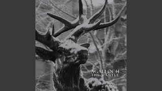 Video thumbnail of "Agalloch - In The Shadow Of Our Pale Companion"