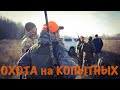 Открытие охоты на копытных. Продолжение часть 2.