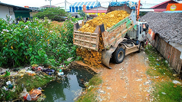 Starting a Wonderfull Landfill Task Using Dozer D20P Pushing Stone Delete Flooded Garbage with Truck