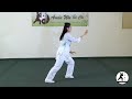 Wustyle tai chi 24 form full demonstration