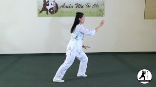 Wu-Style Tai Chi 24 Form Full Demonstration