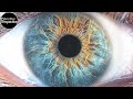 Eye photography  how to take a professional picture of your iris  indepth tutorial