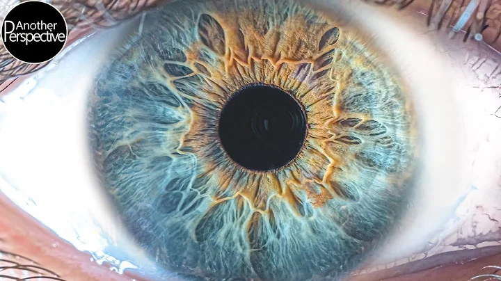 Eye Photography - How to take a professional Picture of your Iris | In-Depth Tutorial