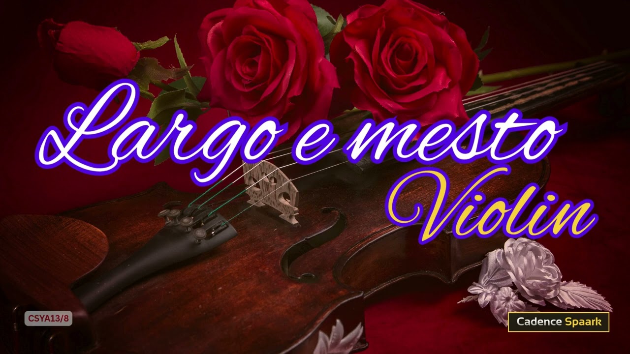 Largo e mesto Violin!! 🎻🎶