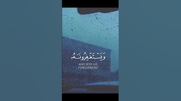 #یاسر_الدوسري #تلاوات #تلاوت #قرآن #قران_كريم #تلاوة_خاشعة #ترتیل #quran