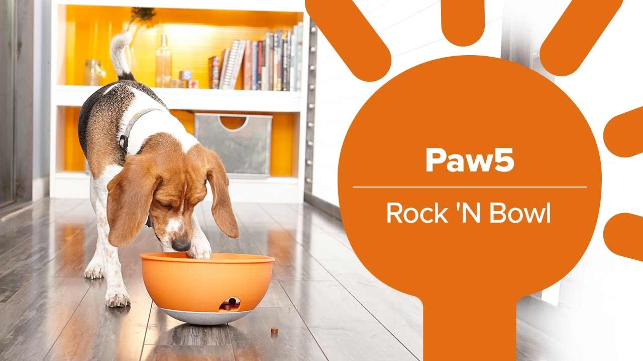 Help your dog digest their food easier with the Paw5 Rocking Bowl YouTube