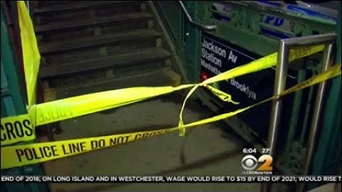 Bronx Subway Slashing