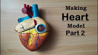 Making Human Heart Model | Part 2/2
