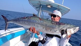 Slow Trolling for Monster Kingfish - ft. 1Rod1ReelFishing