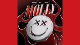 Tyga - Molly (PIERCE & VIRX Remix) (Video Release)