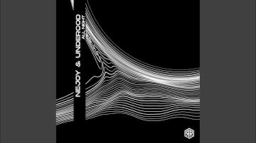 Psychedelic Experience