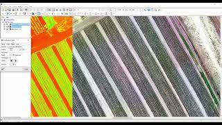 NDVI | Catalyst Professional