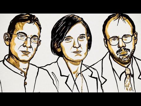 Duflo, Banerjee and Kremer Win 2019 Nobel Economics Prize - YouTube