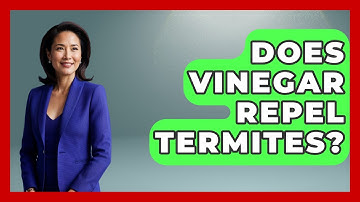 Does Vinegar Repel Termites? - Insects and Invaders