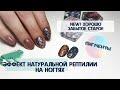 Дизайн ногтей 2021// Рептилия пигментами// Комби маникюр