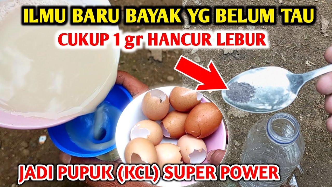 Это необычный секрет изготовления супермощного удобрения KCL или как сделать ОРГАНИЧЕСКОЕ удобрен...