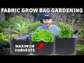 How To Use Fabric GROW BAGS For The Container Garden Of Your Dreams How To Use Fabric GROW BAGS For The Container Garden Of Your Dreams