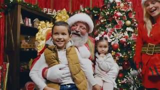 SeaWorlds Christmas Celebration | SeaWorld Orlando