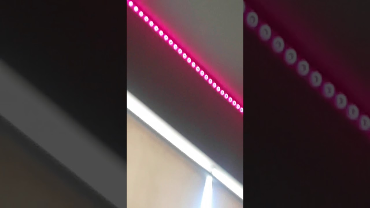 Relevant Info Relevant Info