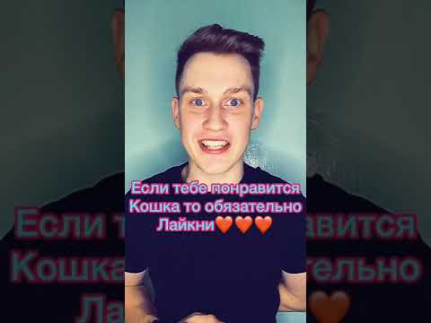 Самая красивая кошка в мире😍😍😍