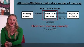 VCE Psychology - Atkinson-Shiffrin