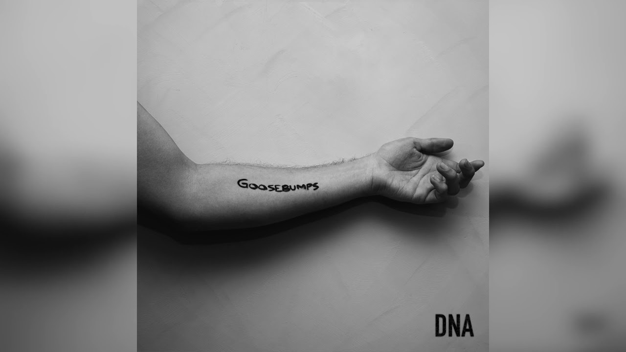 Watch ROSS HARRIS /// GOOSEBUMPS - DNA on YouTube Watch ROSS HARRIS /// GOOSEBUMPS - DNA on YouTube