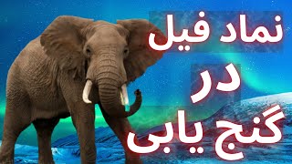 نماد فيل در گنج یابی  نشانه فیل در اثار باستانی  نشانه فيل در دفينه یابی